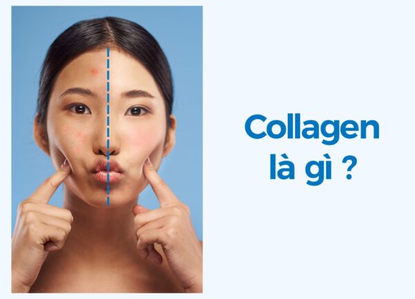 Vai trò của Collagen trong cơ thể