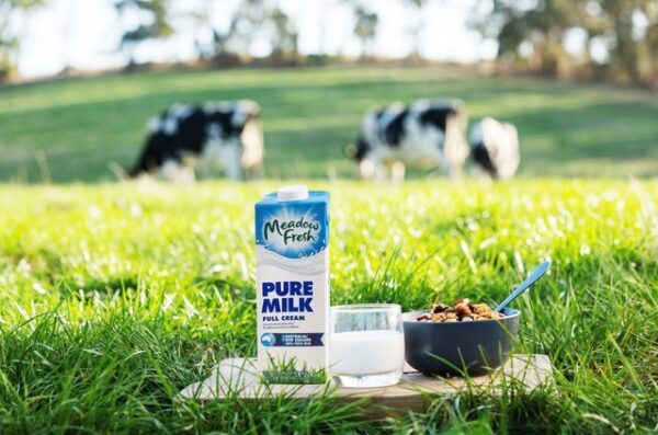 Sữa tươi Meadow Fresh đến từ nông trại vui vẻ với những cô bò hạnh phúc