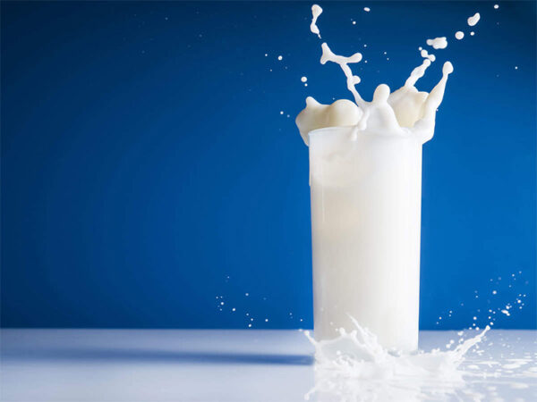 Sữa tươi nào tốt cho bé? Bé nên uống bao nhiêu sữa tươi mỗi ngày