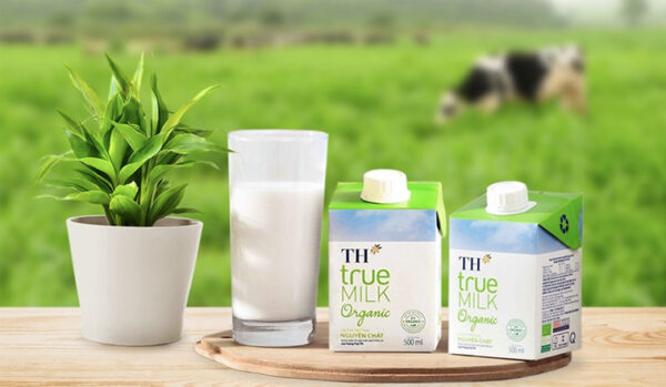 TH True Milk có trang trại bò riêng theo chuẩn tiêu chuẩn Châu Âu