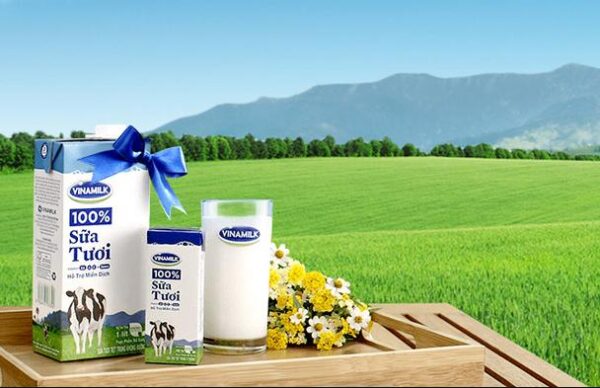 Vinamilk là thương hiệu sữa số 1 tại Việt Nam