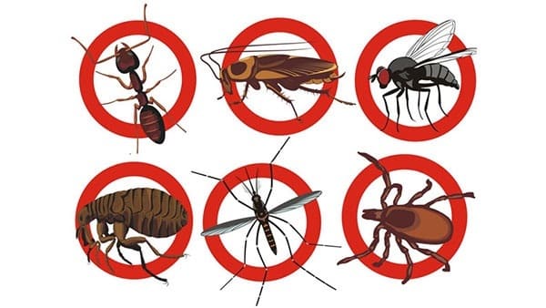Máy đuổi côn trùng nào tốt, hiệu quả, không gây hại